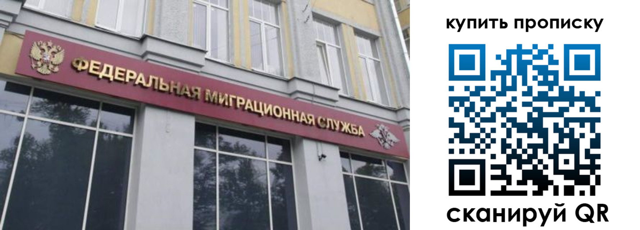 прописка поиск в Сосенском
